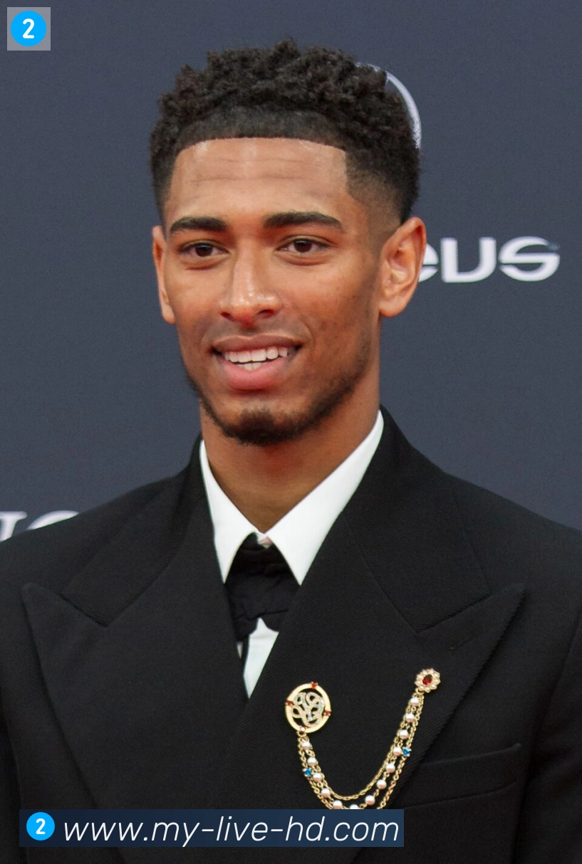 维尼修斯